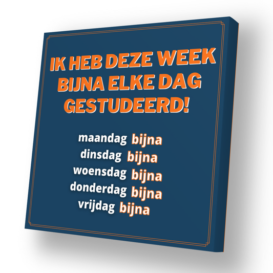 Bijna elke dag gestudeerd - Canvas